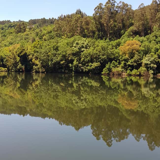 From Porto to Minho: Vinho Verde with Lunch and a Visit to 100% Organic Producers - Coastal Lunch at Polvo a Lagareiro