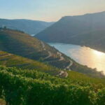 From Porto: Valle del Duero Full-Day Private Tour - Departure from Porto with Personal Pickup