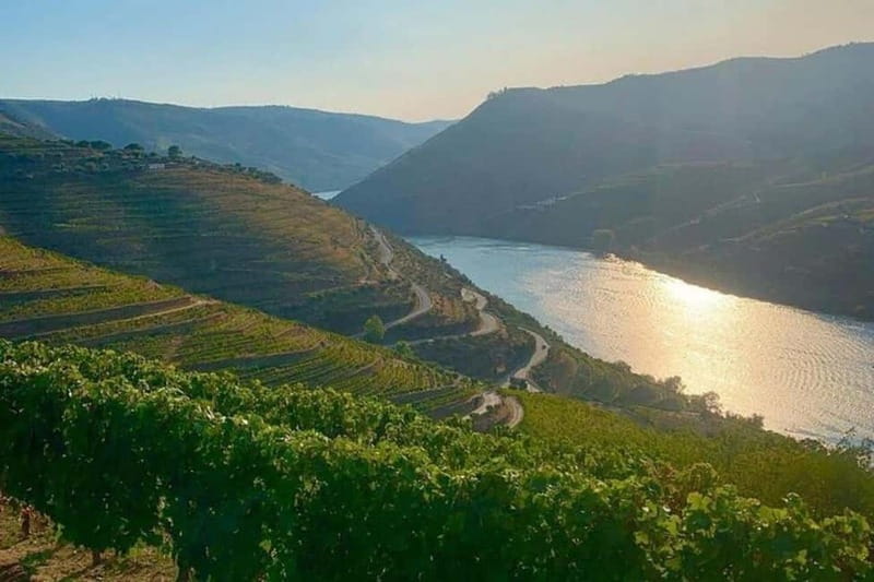 From Porto: Valle del Duero Full-Day Private Tour - Departure from Porto with Personal Pickup