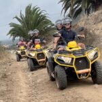 From Puerto de la Cruz: Quad ride with snack and photos. - Off-road Tracks and Scenic Routes in Northern Tenerife