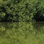 From Puerto Escondido: Day Trip to Chacahua National Park - Exploring the Lagunas de Chacahua National Park