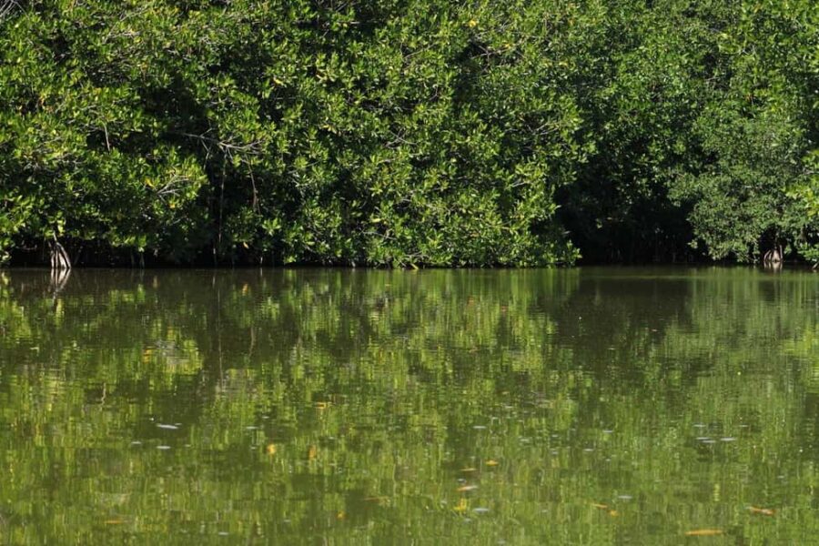 From Puerto Escondido: Day Trip to Chacahua National Park - Exploring the Lagunas de Chacahua National Park