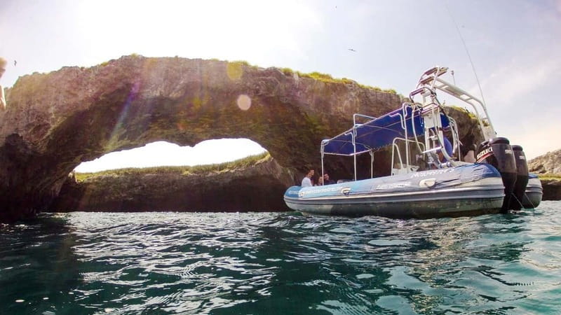 From Puerto Vallarta: Marieta Islands Snorkeling Trip - Starting Point at Ecotours de México in Marina Vallarta