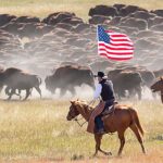From Rapid City: Custer State Park Buffalo Roundup Tour - The Exciting Buffalo Stampede at Custer State Park