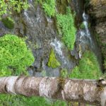 From Rapid City: Private Spearfish Canyon Tour - Pickup and Transportation in Rapid City