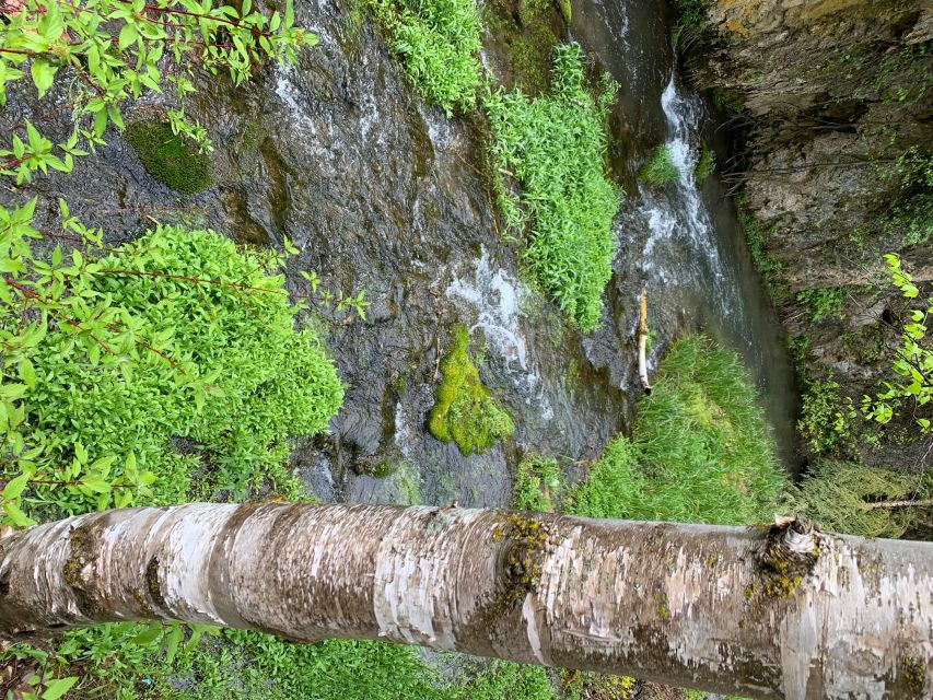 From Rapid City: Private Spearfish Canyon Tour - Pickup and Transportation in Rapid City