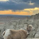 From Rapid City: Sunset, Stars and Silhouettes - Discovering Exclusive Sunset Viewing Spots