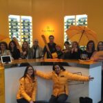 From Reims Champagne Day Trip Veuve Clicquot Local Domain & Lunch - Exploring the Veuve Clicquot Cellars and Tasting Experience