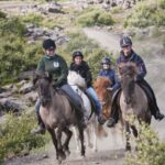 From Reykjavík: Viking Horseback Tour in Hafnarfjörður - Exploring the Reykjanes Preservation Area on Horseback