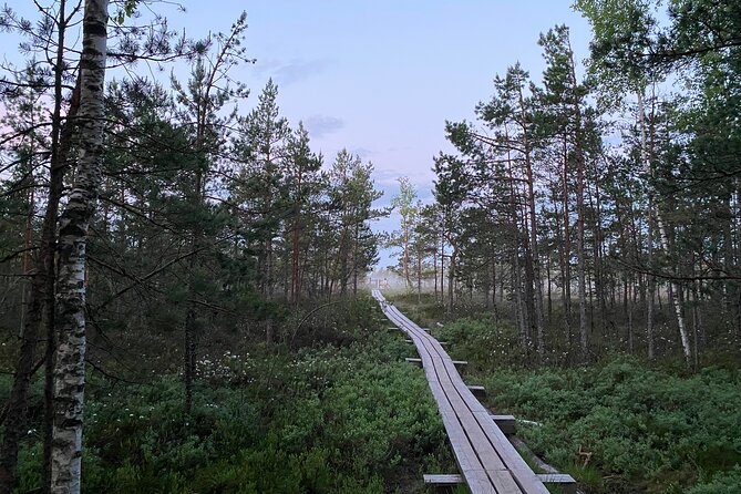 From Riga: Kemeri Bog Boardwalk and Jurmala Seaside - Jurmala: Latvia’s Beloved Seaside Town