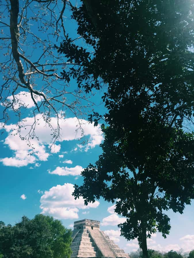 From Riviera Maya: Chichén Itzá, Cenote, Valladolid, and buffet lunch - Swimming in the Sacred Cenote of Chichikan