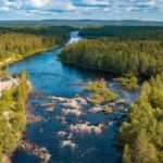 From Rovaniemi: Vikaköngäs Forest Hiking Tour - Exploring Vikaköngäs National Park’s Natural Beauty