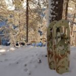 From Ruka: Snowshoeing in Riisitunturi National park - Discovering Riisitunturi National Park’s Landscape