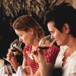 From Saint-Emilion : Half Day Electric bike Wine Tour - Exploring Les Domaines De Moncets Winery and Tastings