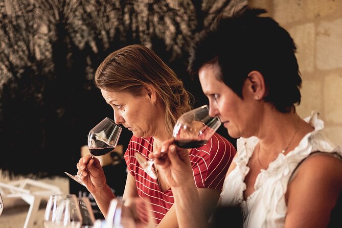 From Saint-Emilion : Half Day Electric bike Wine Tour - Exploring Les Domaines De Moncets Winery and Tastings