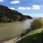 From Saint John: Bay of Fundy Bus Trip for Cruise Passengers - Historical Insights at Fort Howe National Historic Site