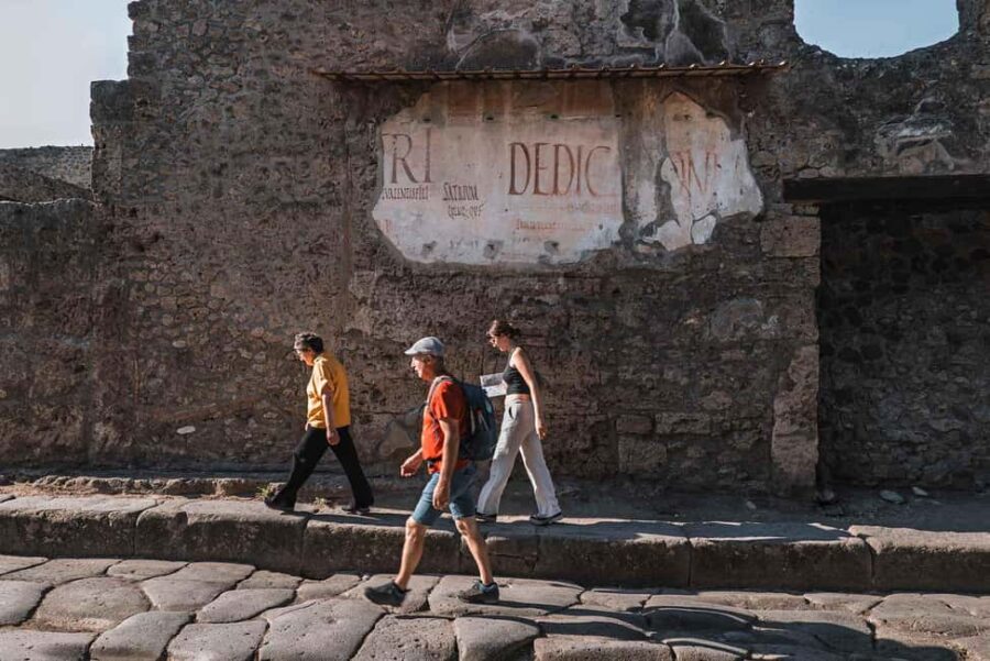 From Salerno: Pompeii Guided Walking Tour with Ticket - Skip-the-Line Access and On-Site Guidance at Pompeii