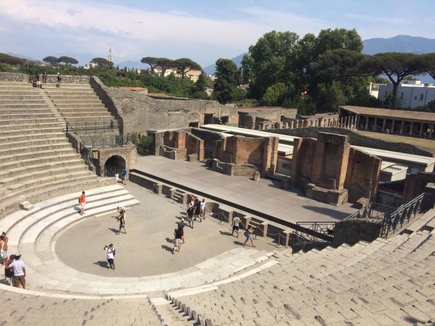 From Salerno: Pompeii Guided Walking Tour - Exploring Pompeii with a Professional Guide