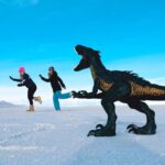 From Salt Lake Private Experience to Bonneville Salt Flats - Transportation: Round-Trip from Salt Lake City