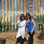 From San Diego: Private Puerto Nuevo Tour with Lobster Lunch - Exploring the Cultural Highlights: Tijuana Cultural Center and Botanical Gardens