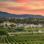 From San Diego Temecula Wine Country Tour - The Highlight: Behind-the-Scenes Winemaking Tour