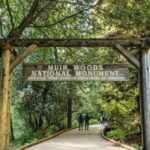 From San Francisco: Guided Muir Woods Tour - Crossing the Golden Gate Bridge with Spectacular Views