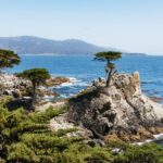 From San Francisco: Monterey and Carmel Day Tour - Exploring Cannery Row and Its Historic Charm