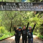 From San Francisco: Muir Woods and Sausalito Half-Day Trip - Exploring Muir Woods: The Tallest Trees and Ancient Groves