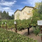 From San Francisco: Private Muir Woods and Napa Wine Tour - Starting Point: San Francisco Hotel Pickup and Customization