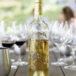 From San Jose: Small Group Napa & Sonoma Valley Wine Tour - Convenient Private Transportation and Small Group Setting