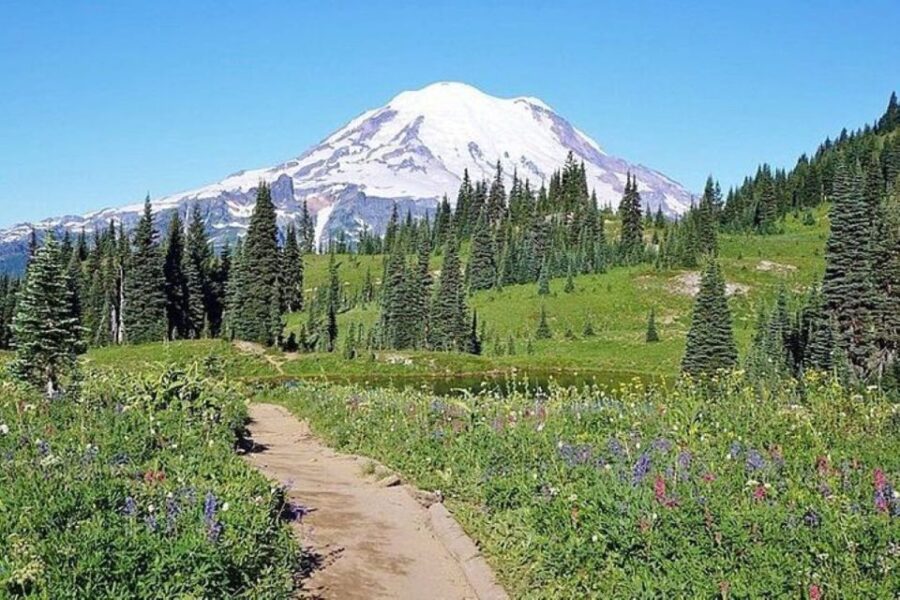 From Seattle: Full-Day Mt Rainier National Park Tour - Exploring Old-Growth Forests and Subalpine Ecosystems
