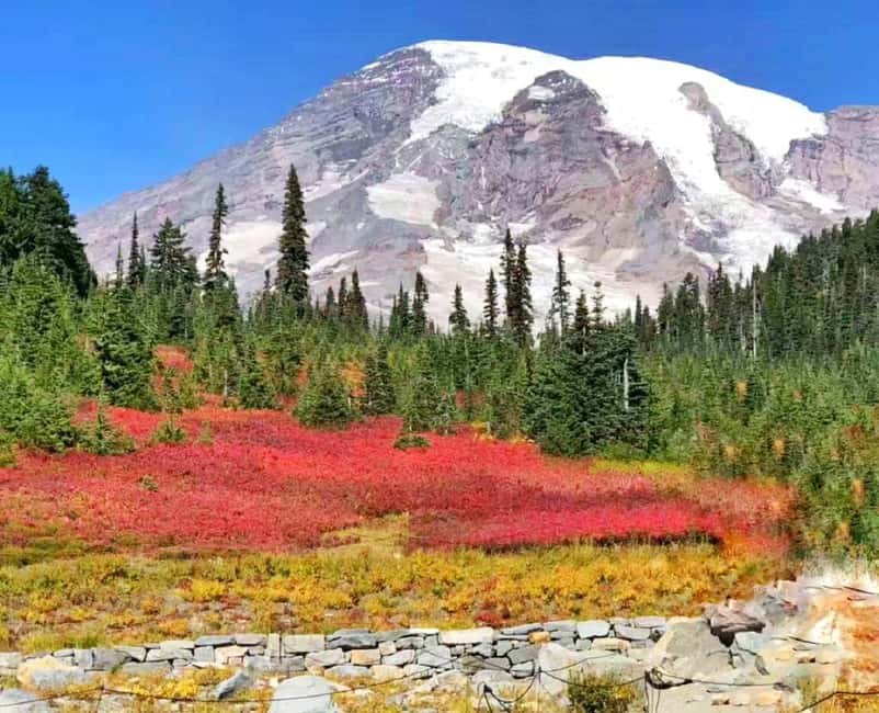 From Seattle: Mount Rainier Guided Day Tour - Mount Rainier: The Heart of the Tour