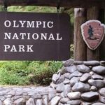 From Seattle: Olympic National Park Full Day Tour - Starting from Seattle: Ferry Ride to Bainbridge Island