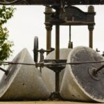 From Seville: Olive Oil Farm Tour - Starting Point and Transportation from Seville