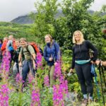 From Seward: 6-hour Wilderness Hiking Tour - Seward’s Scenic Wilderness: Starting Point for Adventure
