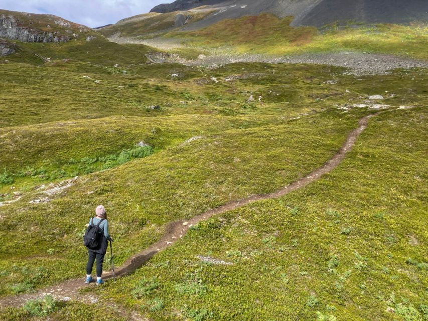 From Seward: Harding Icefield Trail Hiking Tour - Starting Point and Transportation from Seward