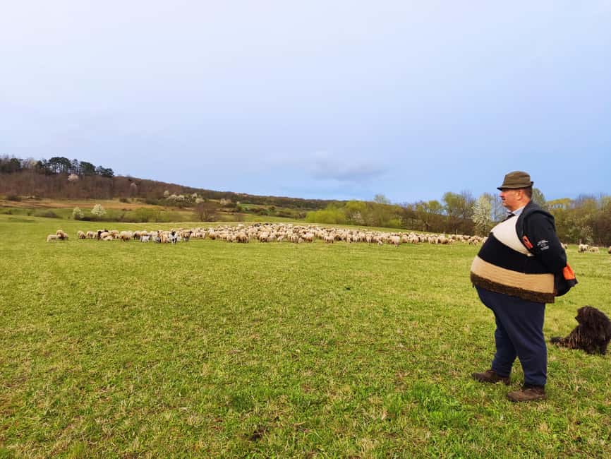 From Sibiu: Villages, Farm Life & Horse Carriage Ride - Exploring Omartin’s Romanesque Basilica and Baroque Art
