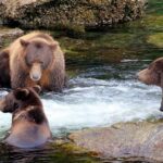 From Sitka: All inclusive Private Yacht Cruise of SE Alaska - Departure Point at Sitka Harbor: Eliason Harbor