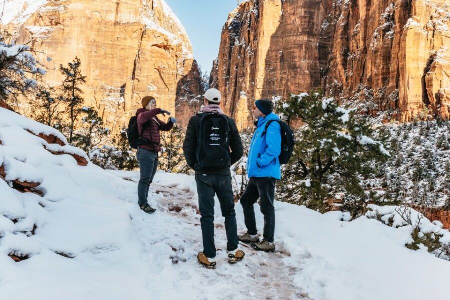 From Springdale: 4-hour Zion Canyon Scenic Hiking Tour - Convenient Meeting Point and Transportation Included