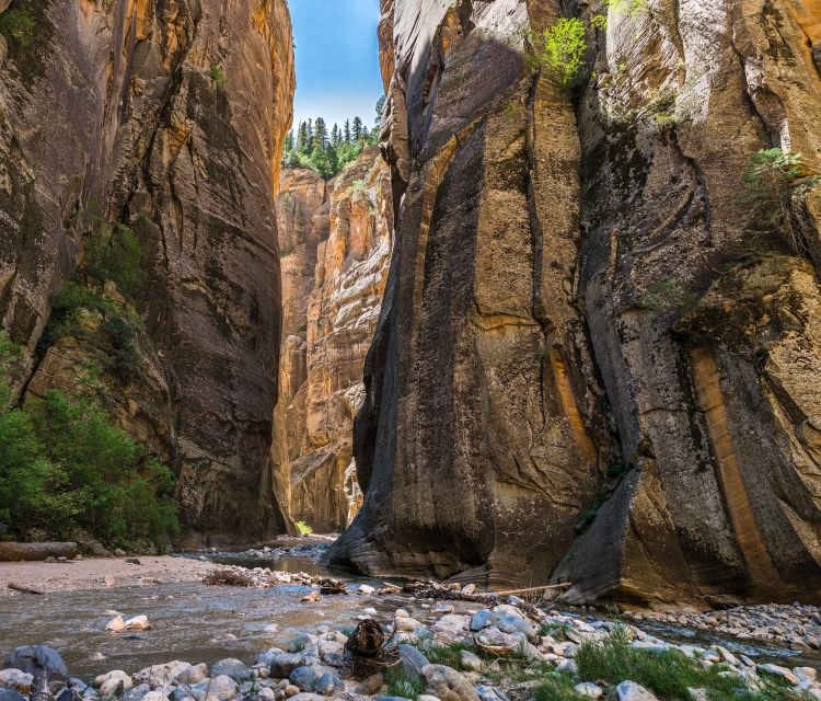 From Springdale: The Zion Narrows Hike with Lunch - Starting Point at Zion Cycles and Zion Guide Hub