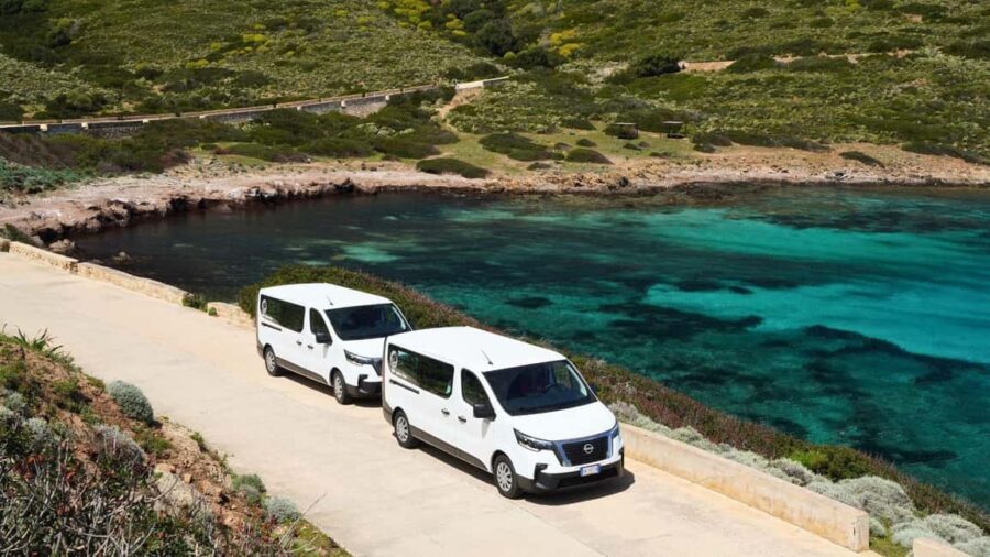 From Stintino: Asinara minivan tour - Exploring Asinara by Minivan and Ferry: A Unique Approach