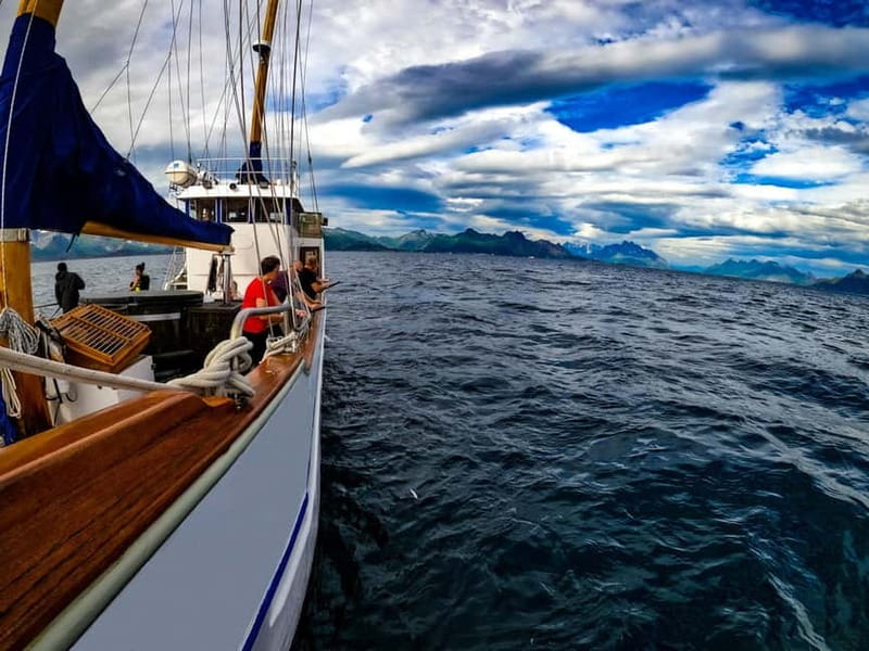 From Svolvær: Taste of Lofoten - Cultural Fishing Experience - Exploring Vestfjorden on a Luxurious Small-Group Yacht