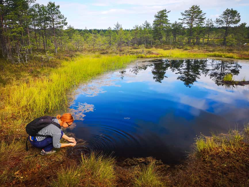 From Tallinn: Bog walk and Sauna Tour - Starting from Tallinn: Convenient Hotel Pickup