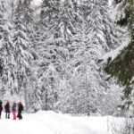 From Tallinn: Lahemaa National Park 3 Waterfall Hike - Starting Point and Transportation: From Tallinn to Lahemaa National Park