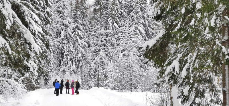 From Tallinn: Lahemaa National Park 3 Waterfall Hike - Starting Point and Transportation: From Tallinn to Lahemaa National Park