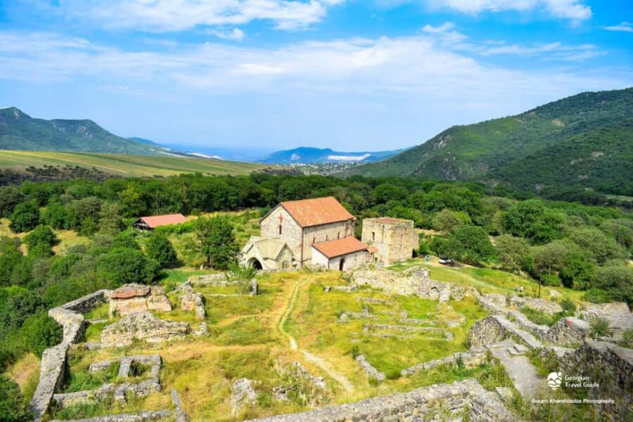 From Tbilisi: Dmanisi Archaeological Site Day Trip - Starting at Avlabari Square for Smooth Departure