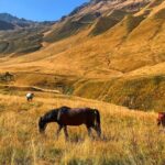 From Tbilisi: Kazbegi Ananuri Gudauri and Trusso Valley by 4x4 - Starting Point: Europe Square in Tbilisi