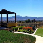 From Tijuana: Valle de Guadalupe Private Winery Tour - Convenient Departure from Plaza Galerías in Tijuana