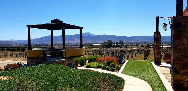 From Tijuana: Valle de Guadalupe Private Winery Tour - Convenient Departure from Plaza Galerías in Tijuana