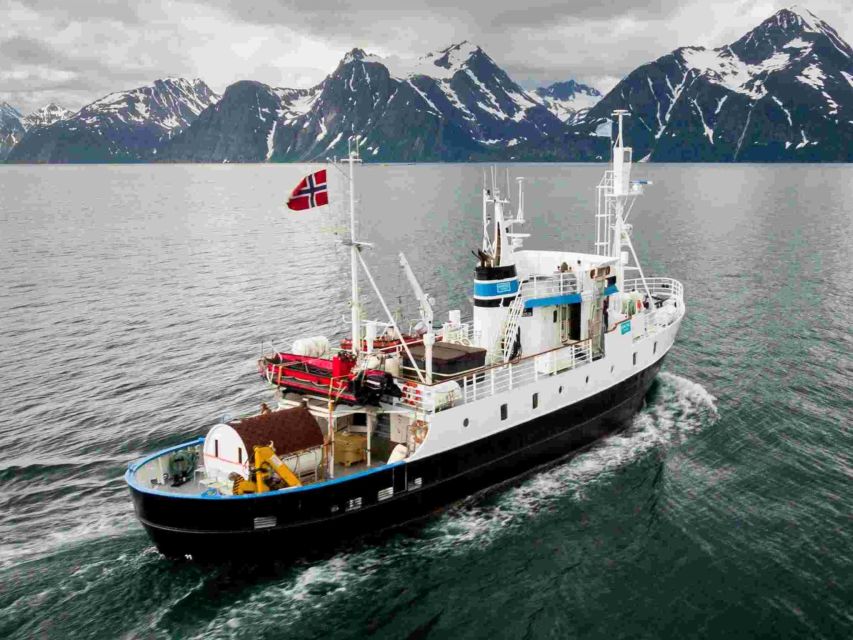 From Tromsø: Northern Lights Cruise on a Cozy Vintage Vessel - The Vintage MS Strønstad: A Cozy Arctic Vessel